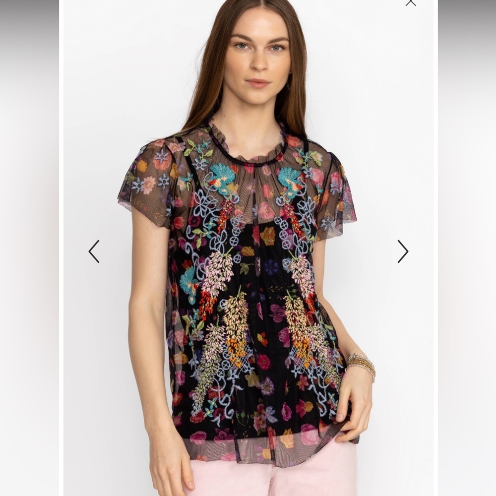 Johnny Was Hummingbird Embroidered Wisteria Short Sleeve Mesh Blouse size S